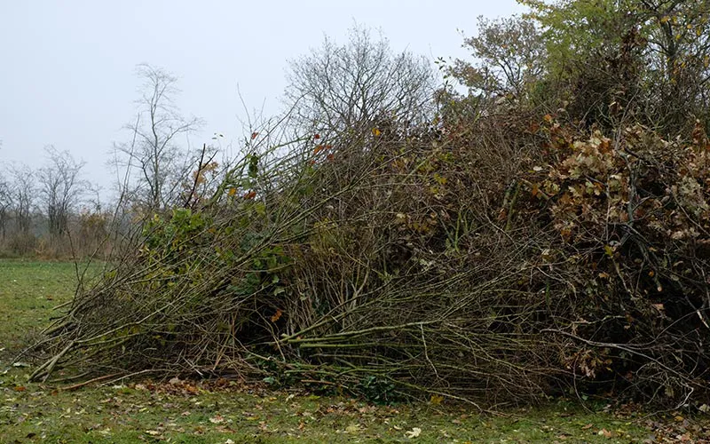 Äste abgeben auf der Festwiese für das nächste Osterfeuer